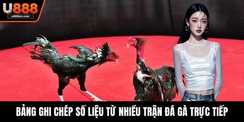 Bảng ghi chép số liệu từ nhiều trận đá gà trực tiếp