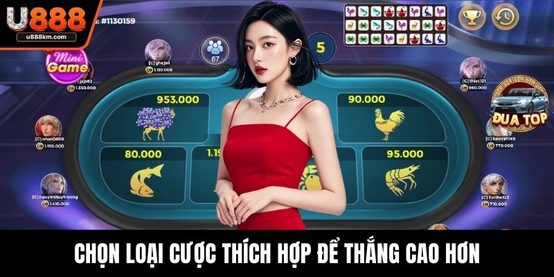 Chọn loại cược thích hợp để thắng cao hơn
