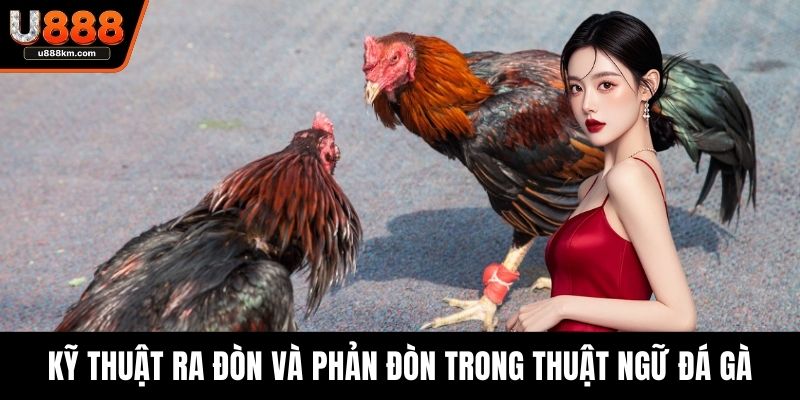 Kỹ thuật ra đòn và phản đòn trong thuật ngữ đá gà