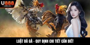 Luật đá gà