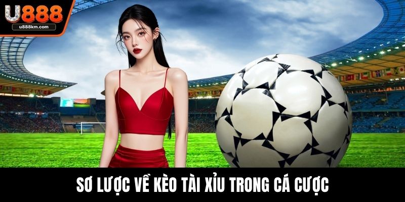 Sơ lược về kèo tài xỉu trong cá cược
