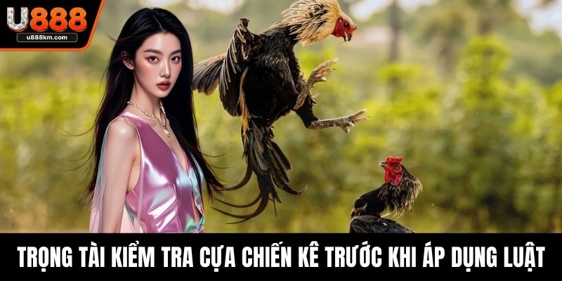 Trọng tài kiểm tra cựa chiến kê trước khi áp dụng luật